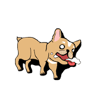 Somboon Happy French Bulldog (Eng)（個別スタンプ：19）