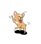 Somboon Happy French Bulldog (Eng)（個別スタンプ：20）