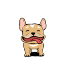 Somboon Happy French Bulldog (Eng)（個別スタンプ：30）
