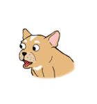 Somboon Happy French Bulldog (Eng)（個別スタンプ：32）
