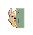 Somboon Happy French Bulldog (Eng)（個別スタンプ：34）