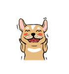 Somboon Happy French Bulldog (Eng)（個別スタンプ：36）