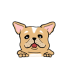Somboon Happy French Bulldog (Eng)（個別スタンプ：39）