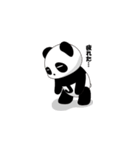 ひとことパンダJiRo（個別スタンプ：30）