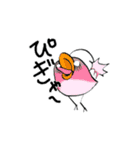 Chick of mystery（個別スタンプ：1）