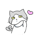 不愛想ねこのステスケくん（個別スタンプ：8）