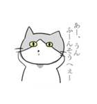 不愛想ねこのステスケくん（個別スタンプ：16）