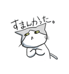 不愛想ねこのステスケくん（個別スタンプ：30）