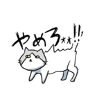 不愛想ねこのステスケくん（個別スタンプ：33）