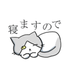 不愛想ねこのステスケくん（個別スタンプ：36）