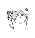 不愛想ねこのステスケくん（個別スタンプ：39）