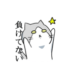 不愛想ねこのステスケくん（個別スタンプ：40）