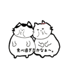 愛猫しろひこ＆おとみのスタンプ（個別スタンプ：10）
