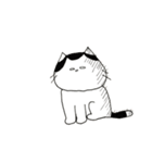 愛猫しろひこ＆おとみのスタンプ（個別スタンプ：36）