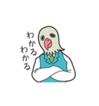 バードマン（お仕事編）（個別スタンプ：3）