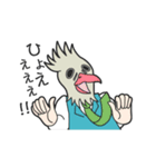 バードマン（お仕事編）（個別スタンプ：5）