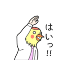 バードマン（お仕事編）（個別スタンプ：22）