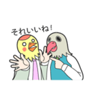 バードマン（お仕事編）（個別スタンプ：36）