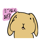 うさぎぎぎぎぎぎー（個別スタンプ：38）