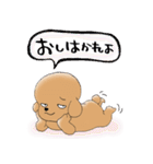 Cool Poodle A to Z（個別スタンプ：13）