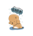 Cool Poodle A to Z（個別スタンプ：15）
