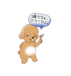 Cool Poodle A to Z（個別スタンプ：25）