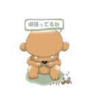 Cool Poodle A to Z（個別スタンプ：36）
