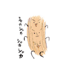 だるると仲間たち（個別スタンプ：34）