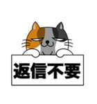 三毛猫のタマ男（個別スタンプ：10）