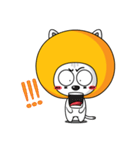 orange hood cat（個別スタンプ：17）