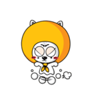 orange hood cat（個別スタンプ：38）