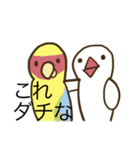 チャラチャラした文鳥（個別スタンプ：16）