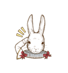 アリスのウサギ（個別スタンプ：6）