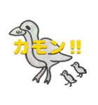 アニマルフレーズ（個別スタンプ：12）