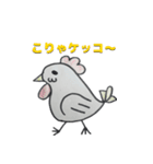 アニマルフレーズ（個別スタンプ：16）