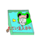 猫カエル（個別スタンプ：13）