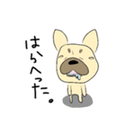 フレブルちゃんの日常（個別スタンプ：23）