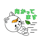 風ねこ（個別スタンプ：5）