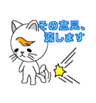 風ねこ（個別スタンプ：12）