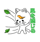 風ねこ（個別スタンプ：21）