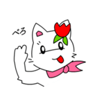ともきゅ～の白猫（日本語）（個別スタンプ：12）