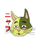 猫のカンタ（個別スタンプ：17）