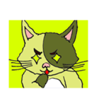 猫のカンタ（個別スタンプ：21）