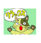 猫のカンタ（個別スタンプ：28）