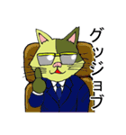 猫のカンタ（個別スタンプ：34）