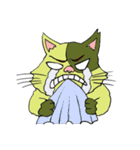 猫のカンタ（個別スタンプ：39）