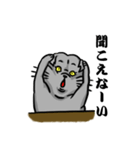 だらしない灰色の猫（個別スタンプ：24）