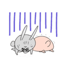 うさぎ兄弟のロッティとラル（個別スタンプ：17）