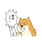 犬VSねこ（個別スタンプ：5）