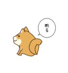 犬VSねこ（個別スタンプ：7）